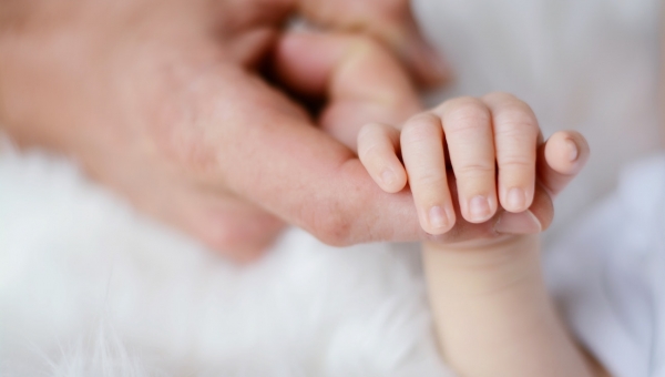 Houston Fertility Treatment: IVF With Donor Eggs