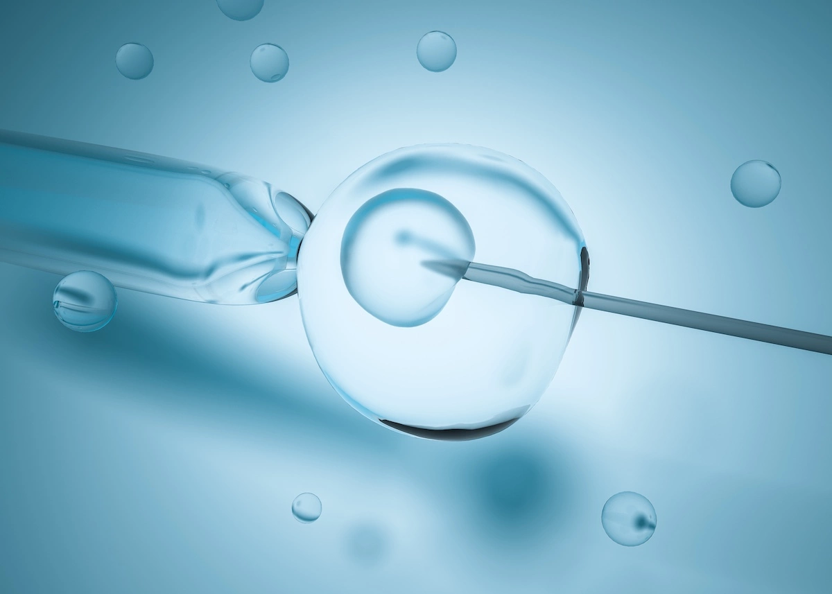 3D graphic showing North Houston IVF