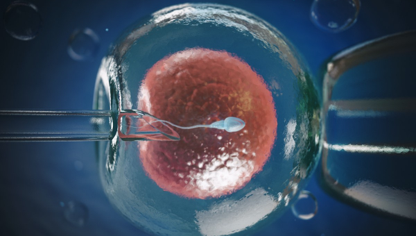 3d illustration of north houston ivf process that takes place in our lab
