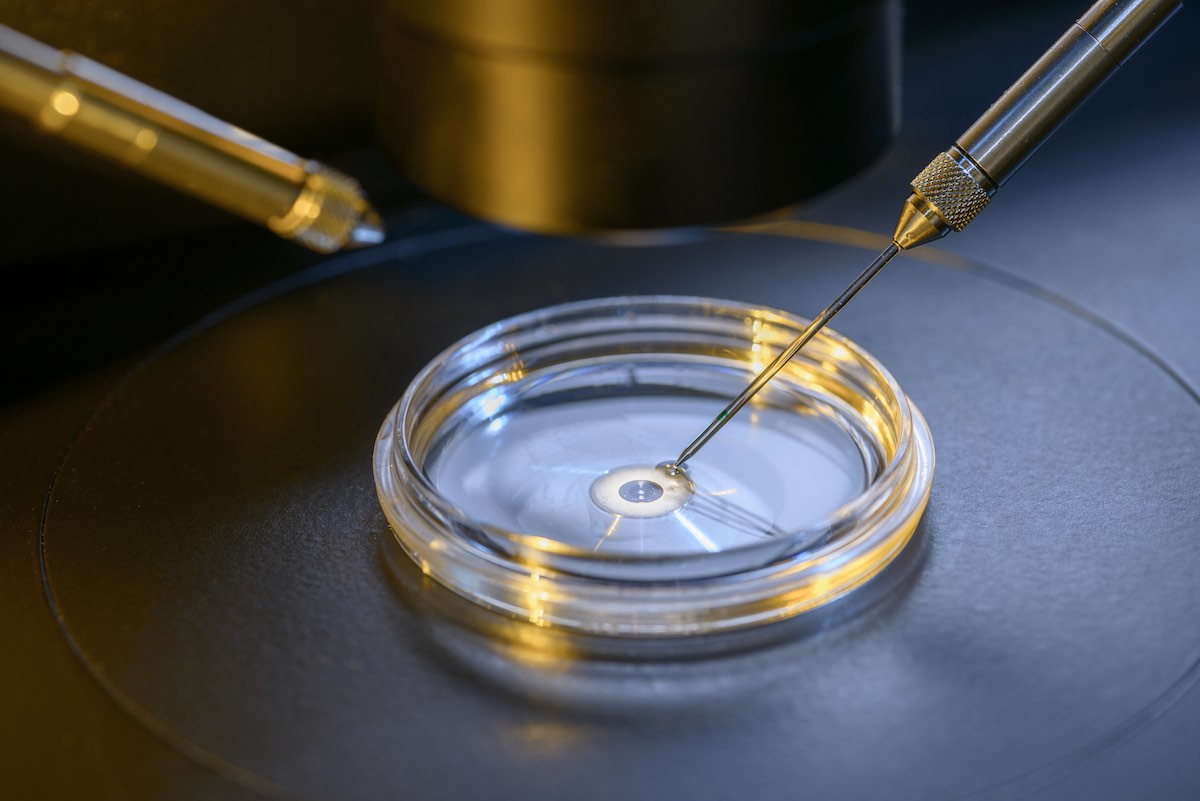 IVF taking place in our North Houston IVF lab in Kingwood and The Woodlands