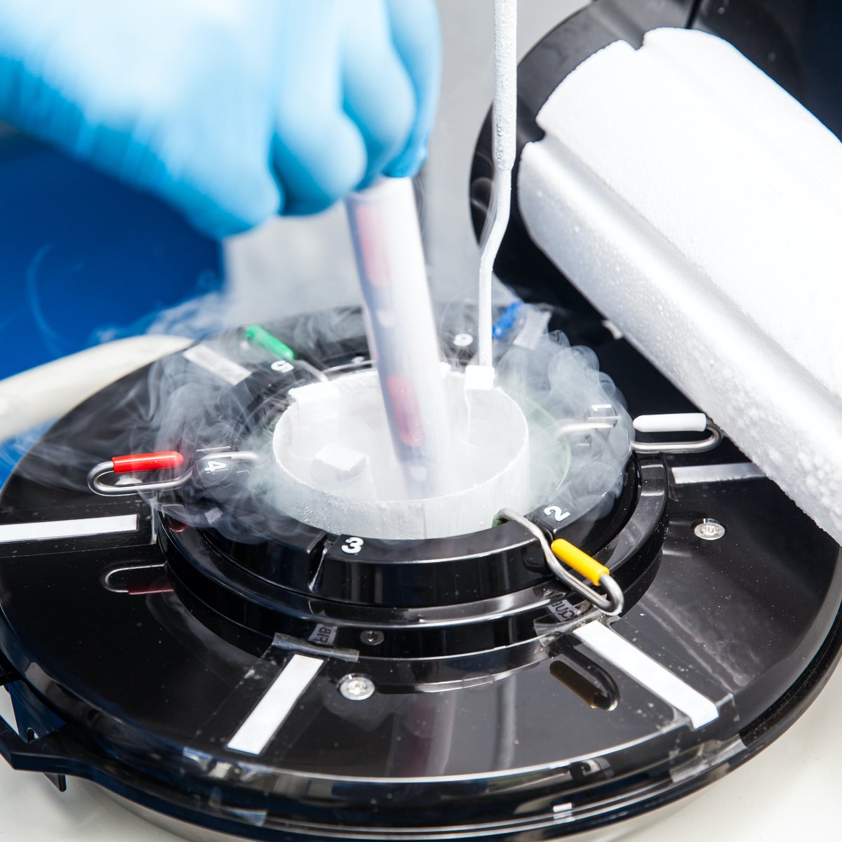 North Houston IVF technician working with frozen eggs