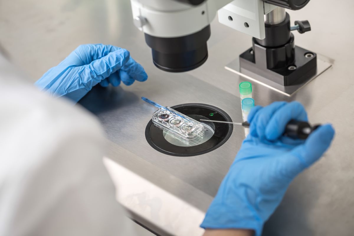 North Houston fertility specilaist using donor eggs for IVF