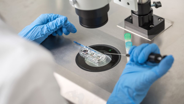 North Houston fertility specilaist using donor eggs for IVF