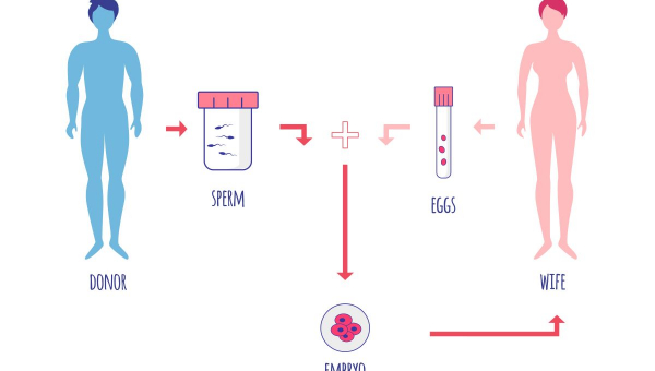 Diagram of North Houston IVF process