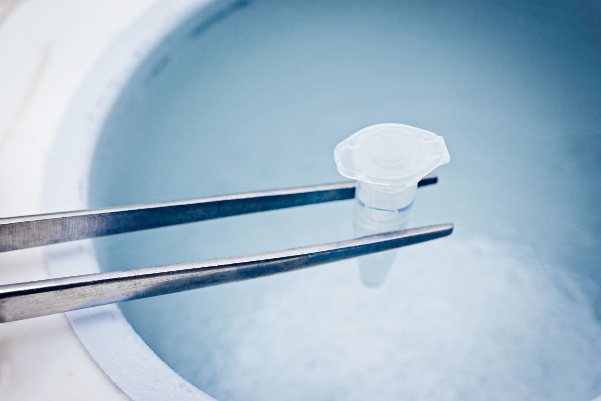 North Houston fertility specilaist freezing embryos for IVF