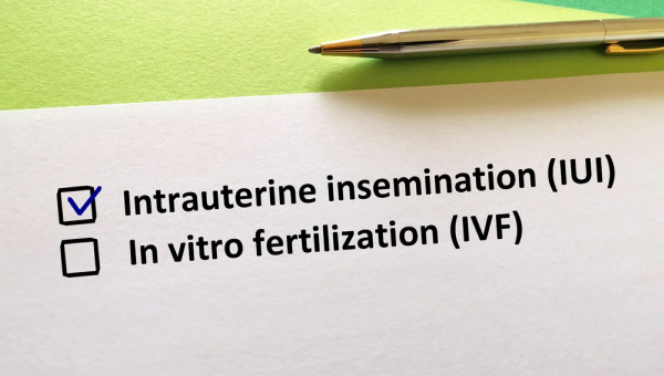 Typed checklist with the words "Intrauterine Insemination" and "In Vitro Fertilization" with the former checked