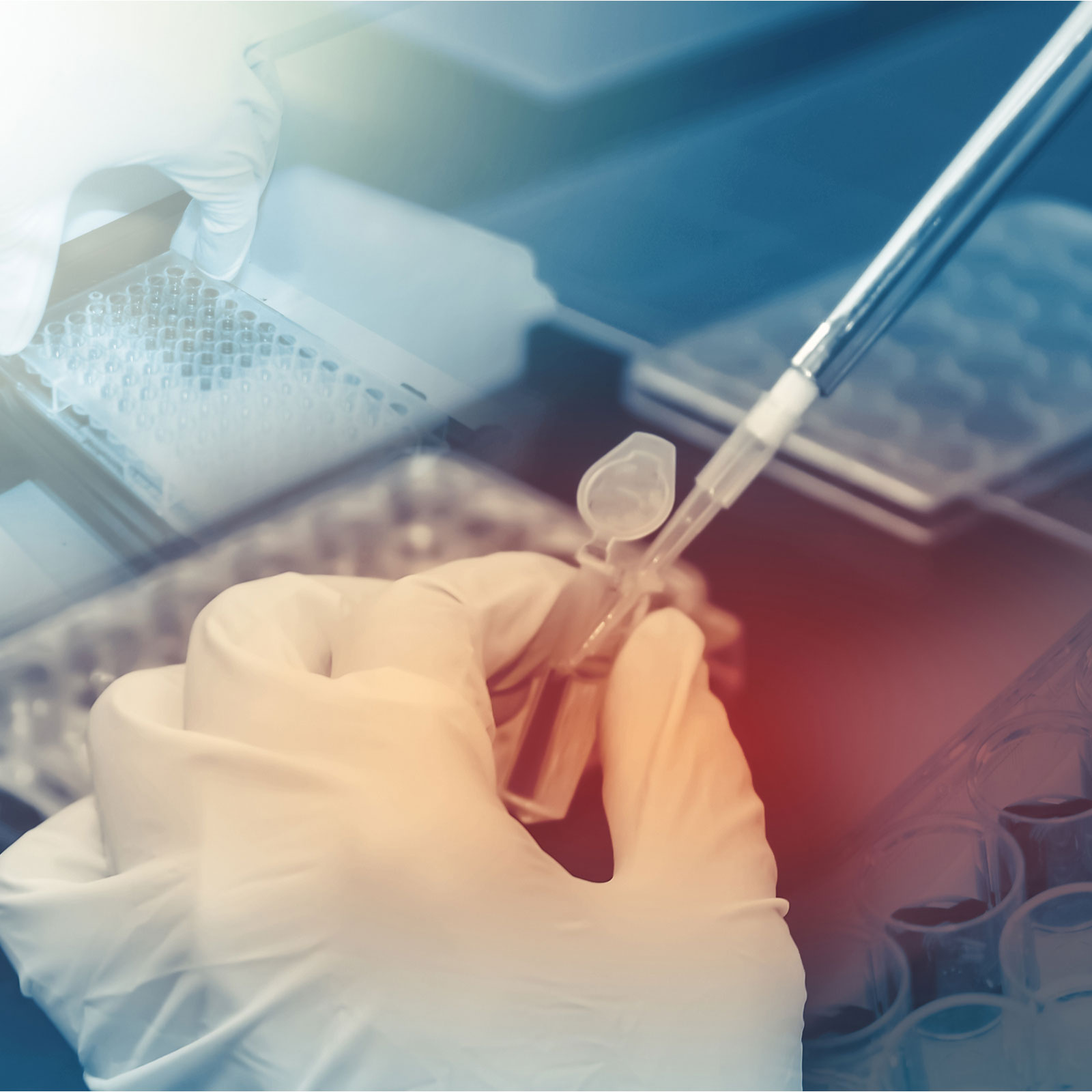 researcher loading genetic sample