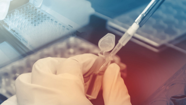 researcher loading genetic sample