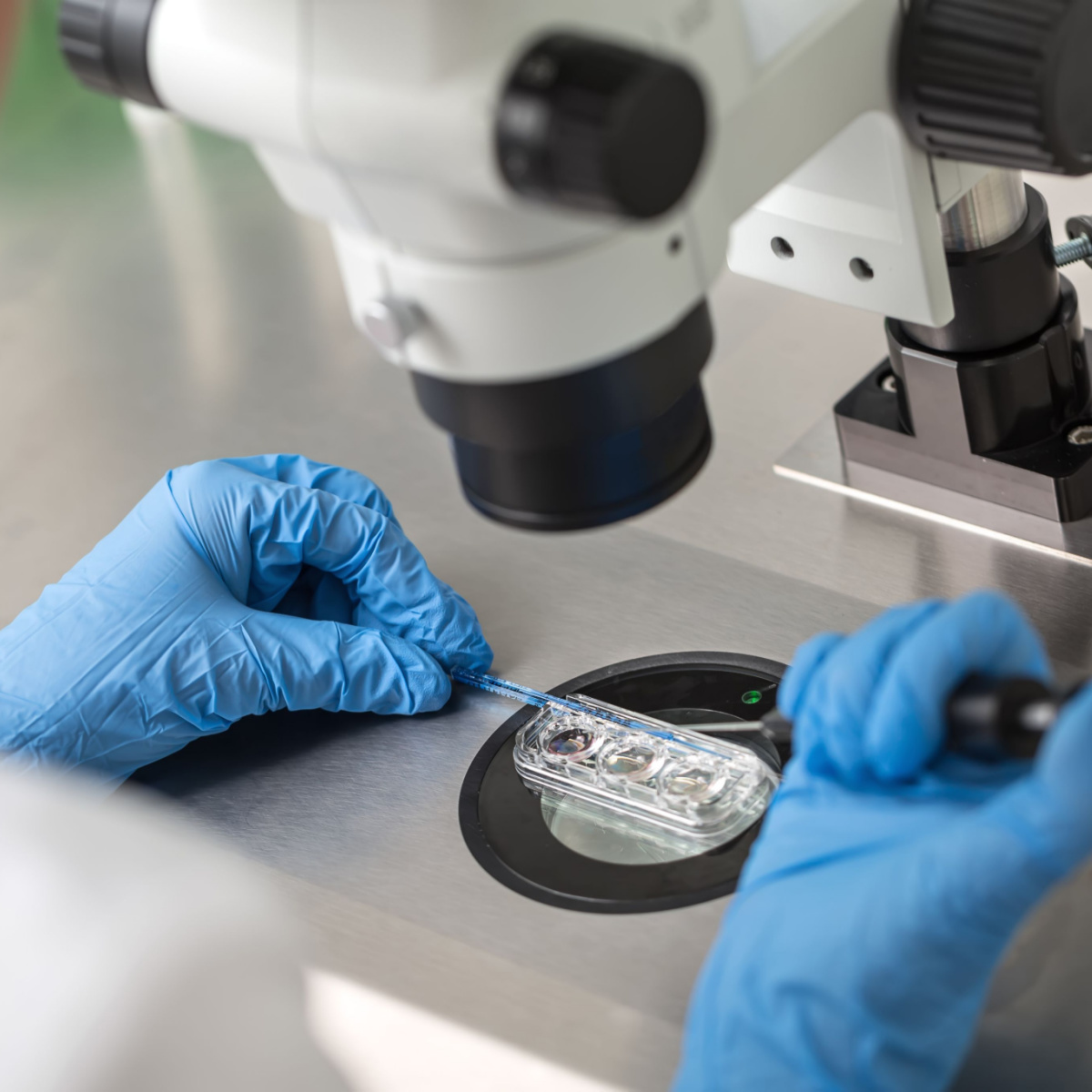 Doctor in a lab placing eggs in a petri dish