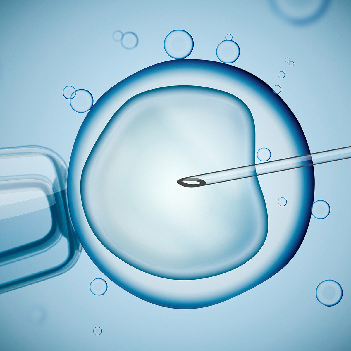 A needle going inside an egg
