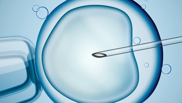 A needle going inside an egg