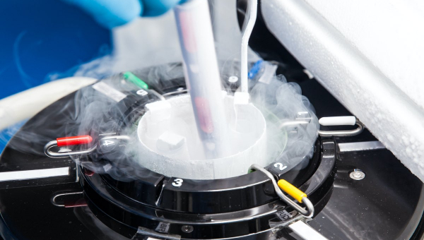The Woodlands fertility clinic specialist freezing eggs in a lab