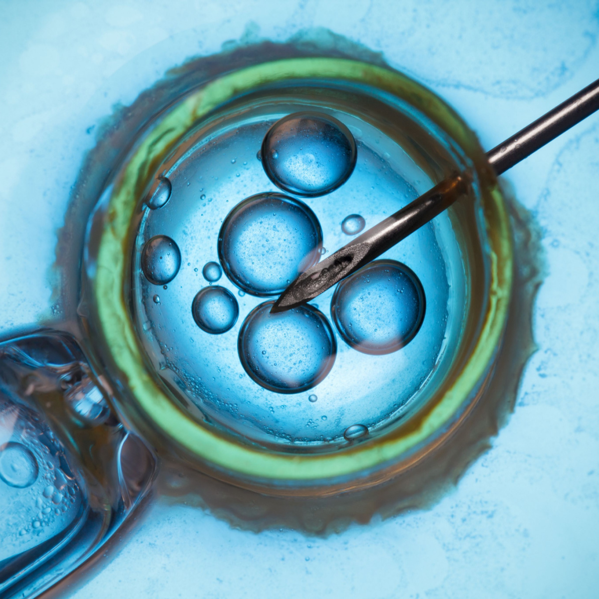 An egg being implanted