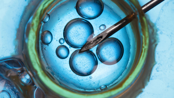 An egg being implanted