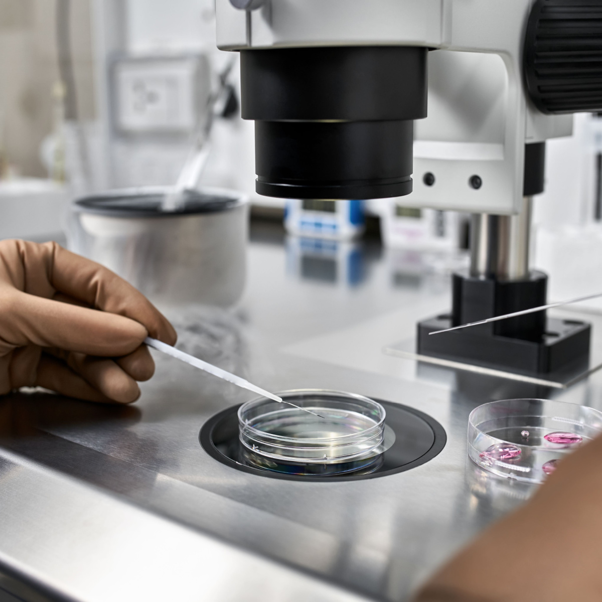 Eggs being frozen in a petri dish for IVF