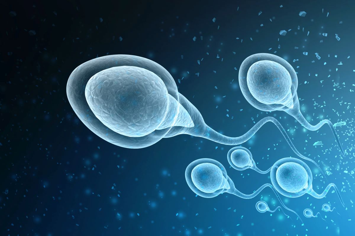 Donor sperm for the The Woodlands IVF.