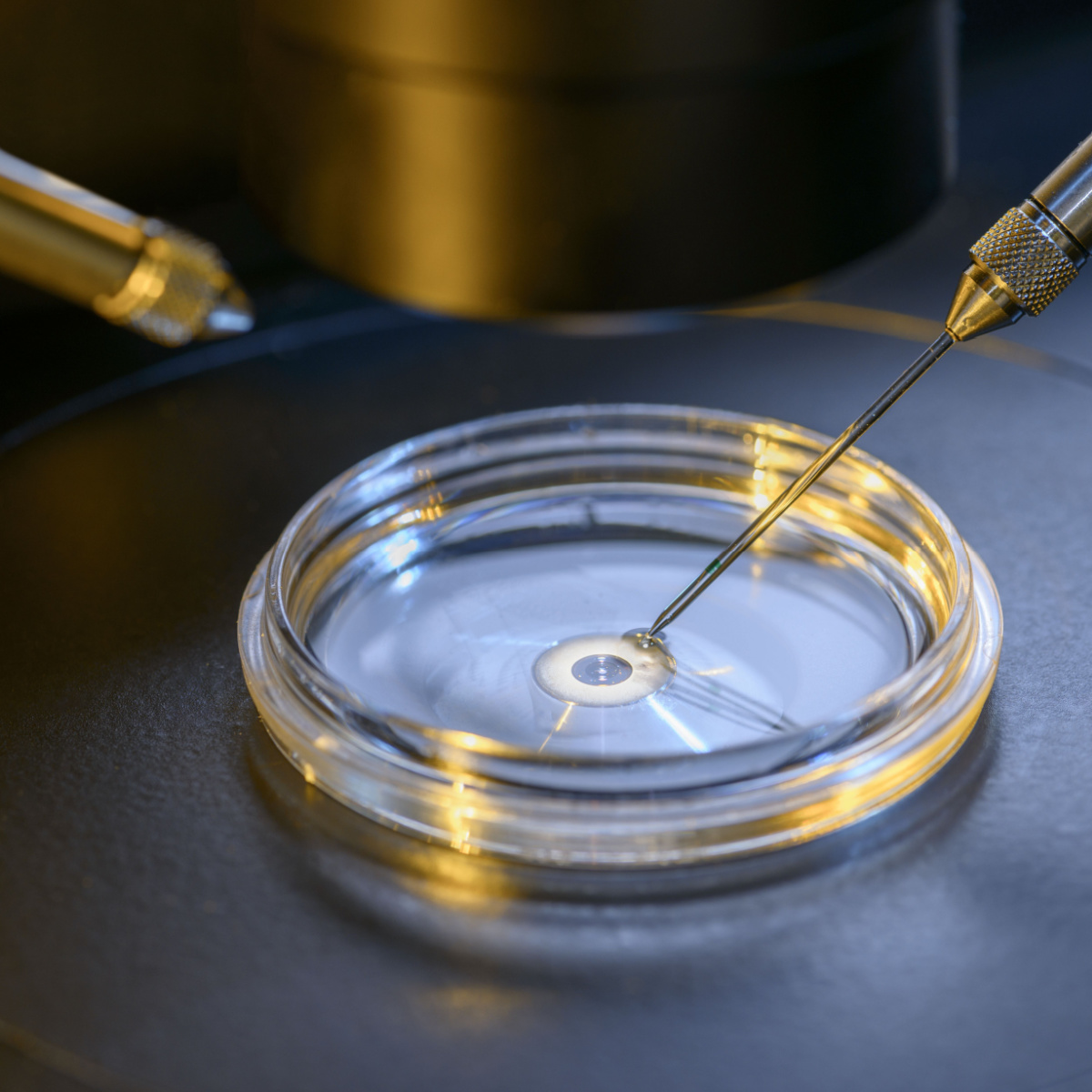 Assisted hatching in Kingwood IVF