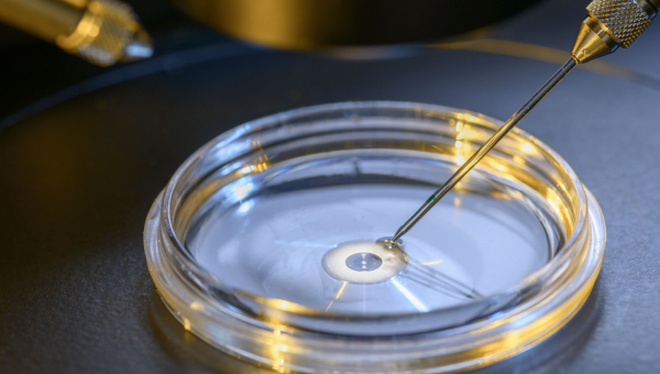 Assisted hatching in Kingwood IVF