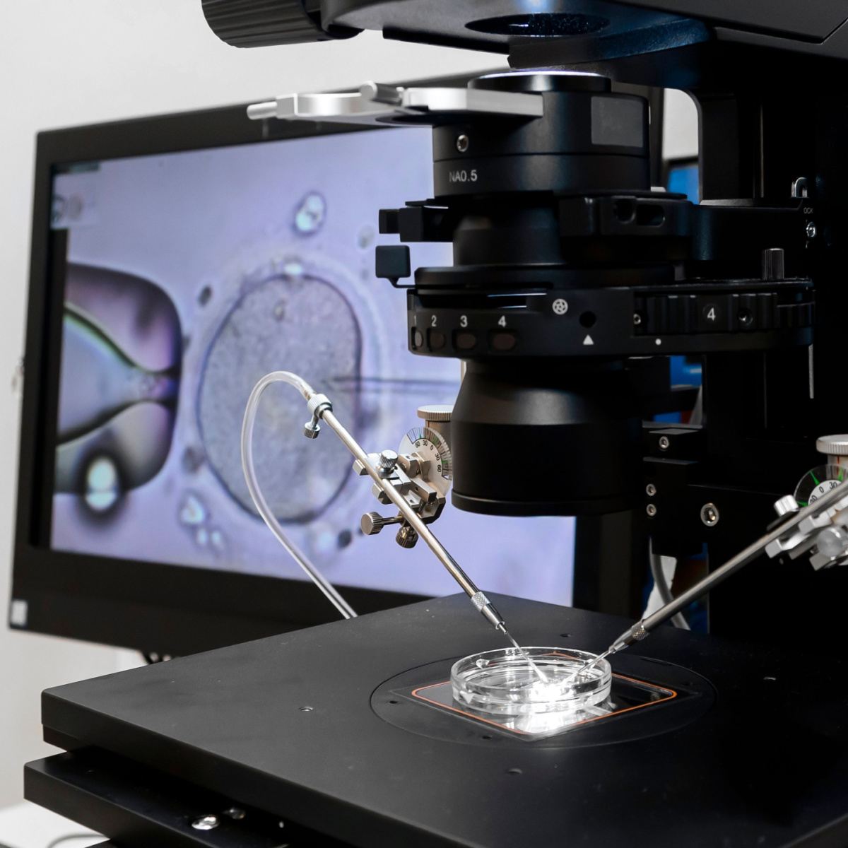 Kingwood IVF in the lab