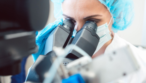 Frozen embryos being handled in the lab
