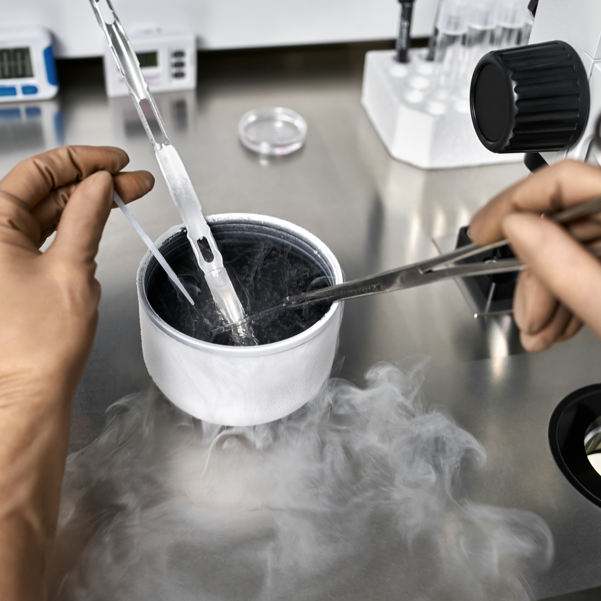 A petri dish in an IVF lab