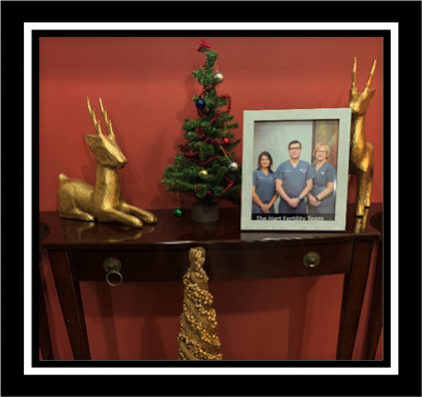 HART fertility clinic team 