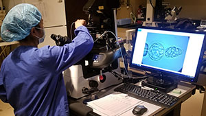 HART Fertility Lab 02