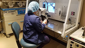 HART Fertility Lab 03